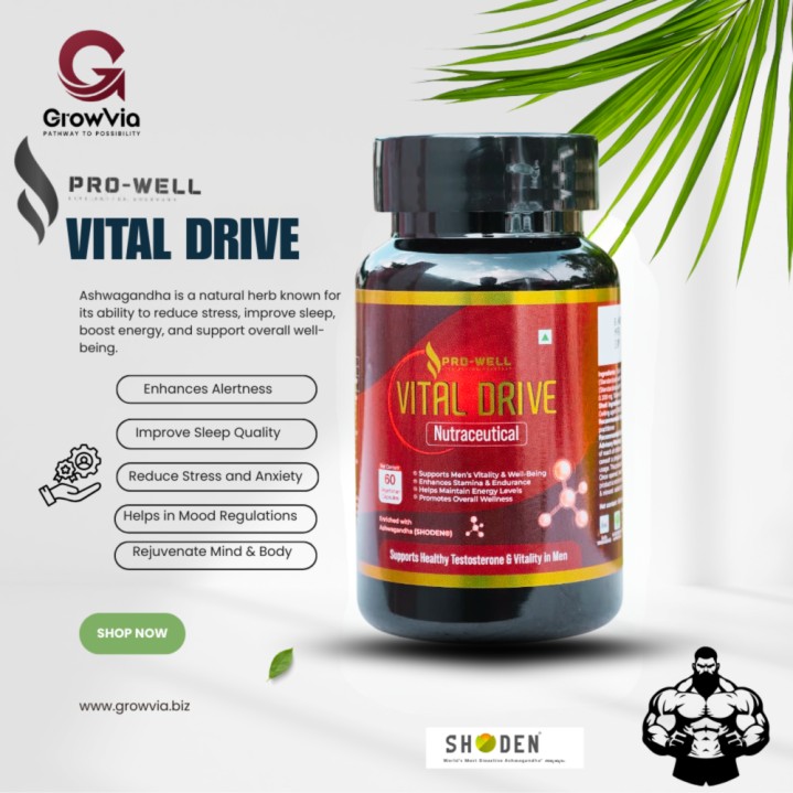 Vital Drive -Pro Well 